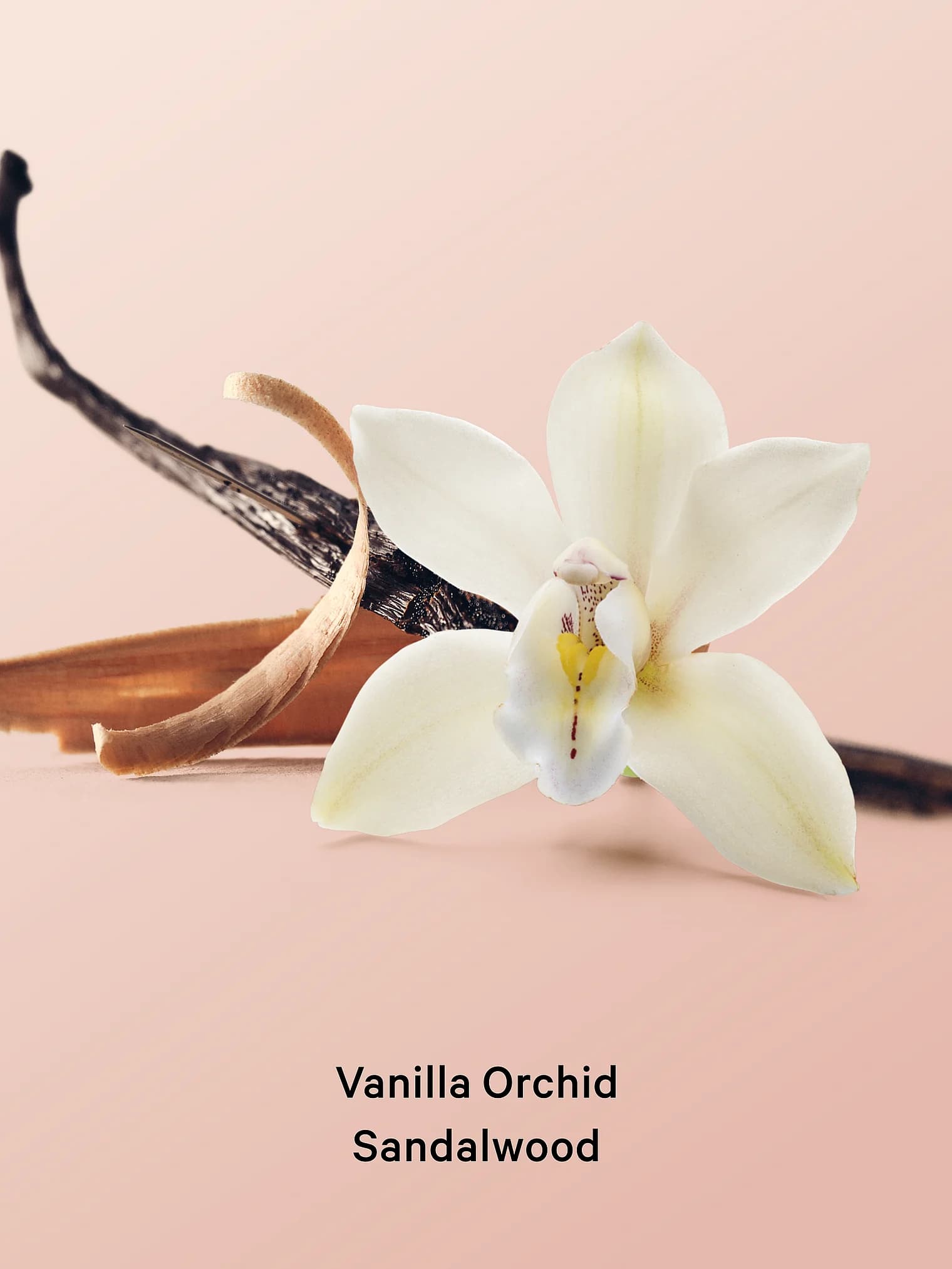 Догляд за тілом Victoria's Secret Скраб для тіла Victoria's Secret Vanilla Orchid Sandalwood Whipped Body Scrub 216 г - мініатюра фото 2