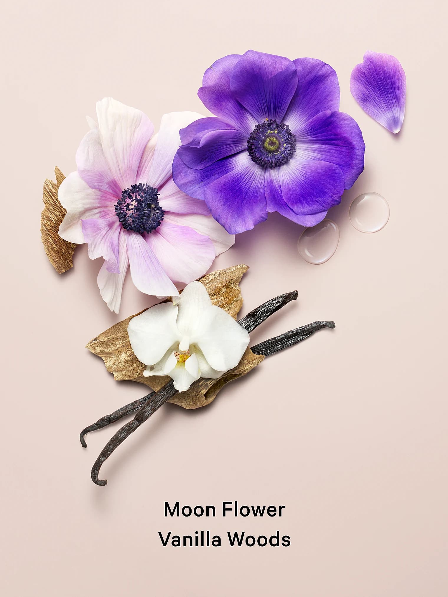 Догляд за тілом Victoria's Secret Парфумований лосьйон для тіла Victoria's Secret Midnight Bloom 236 мл - мініатюра фото 2